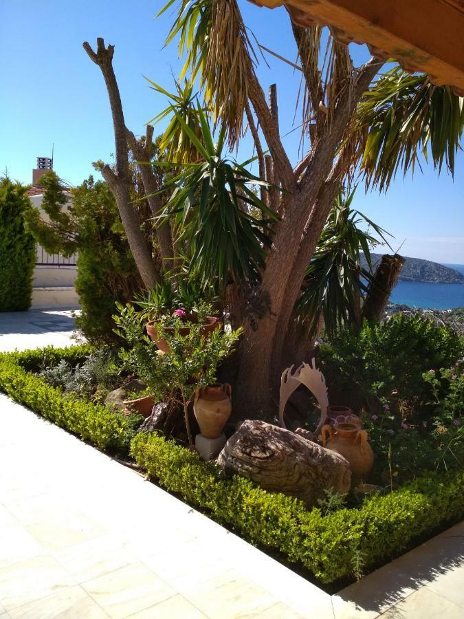 Pensjonat Saronic View Anavyssos Zewnętrze zdjęcie
